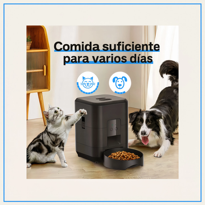 Alimentador automático para mascotas