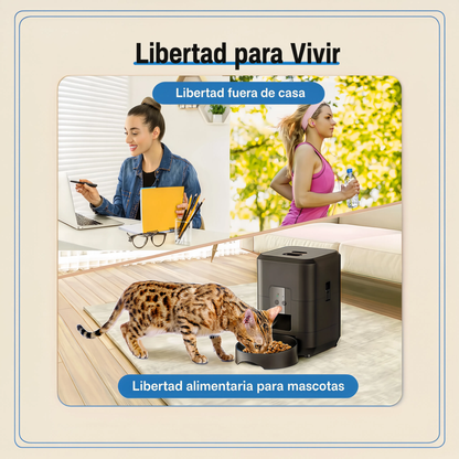 Alimentador automático para mascotas