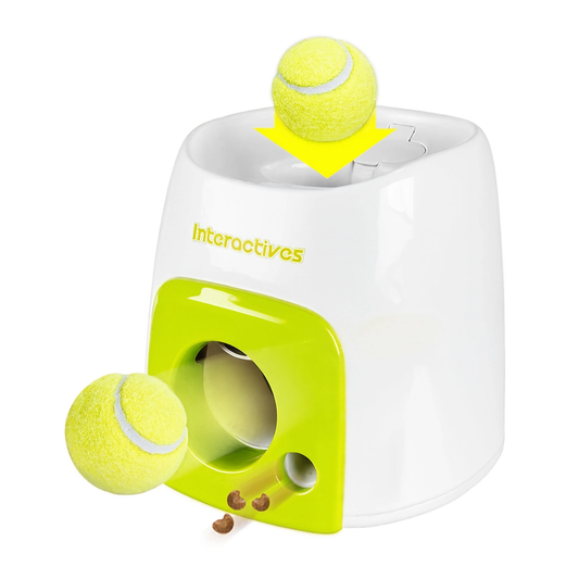 Lanzador automático de pelotas con dispensador de premios para perros