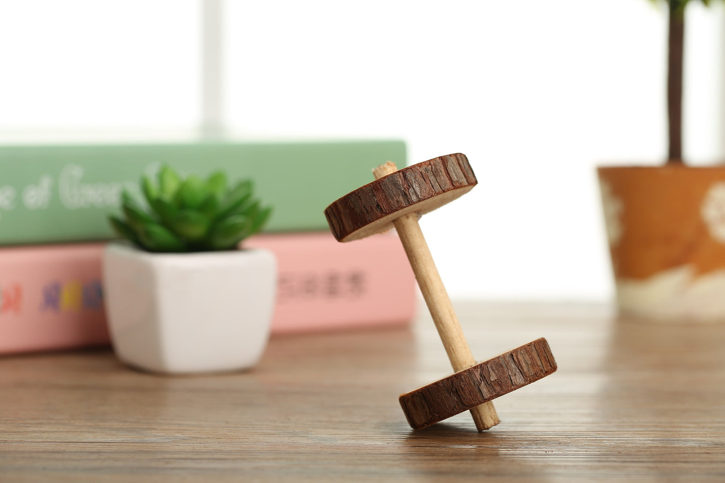 Set de juguetes de madera para hámsteres — ¡Diversión natural y sana!